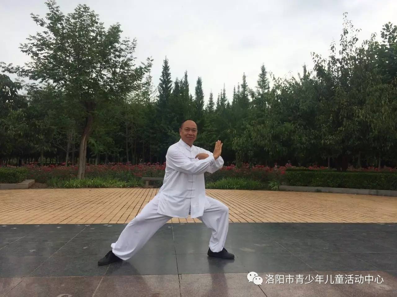 洛阳市青少年儿童活动中心陈氏太极拳暑假班招生简介