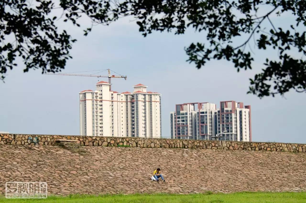 石角的北江大堤除了防洪保卫家园,也是一道写意风景