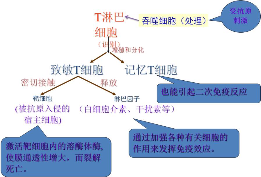 教育案例怎么写