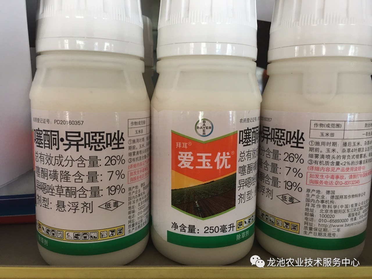 玉米田革命性除草剂神奇的爱玉优你用了吗