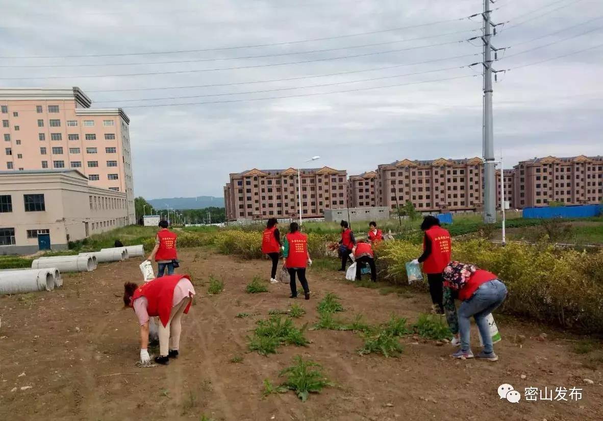 密山航空公园来了一群特殊的拾荒族