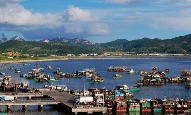 东平镇素有"南粤鱼仓"之称,为全国著名渔港,阳江核电站所在地.