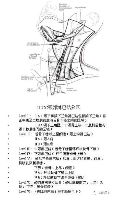 解剖颈部淋巴结分区精选资源