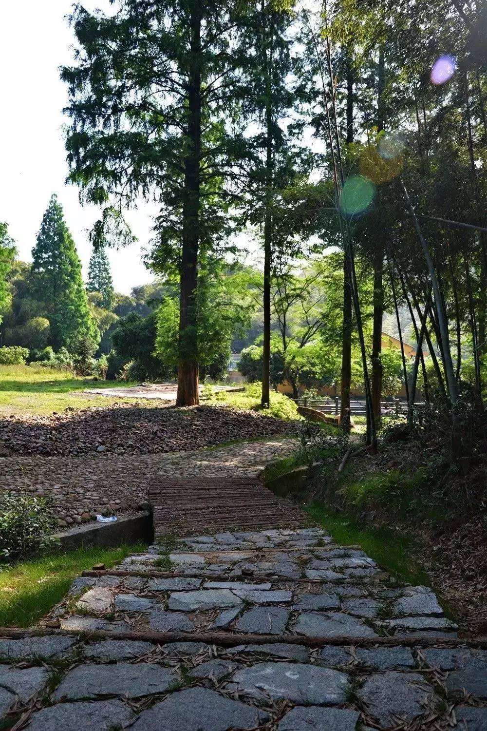 颜值逆天!戴村国家级登山步道标准段开放,天晴约起