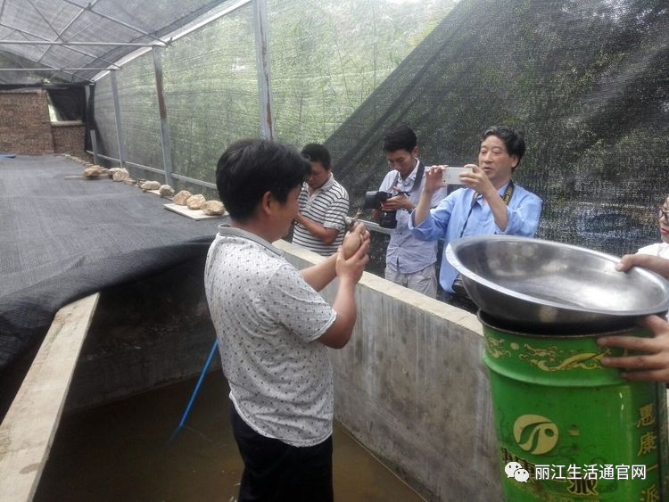 丽江首家棘胸蛙石蚌人工繁育养殖基地落户华坪县永兴乡