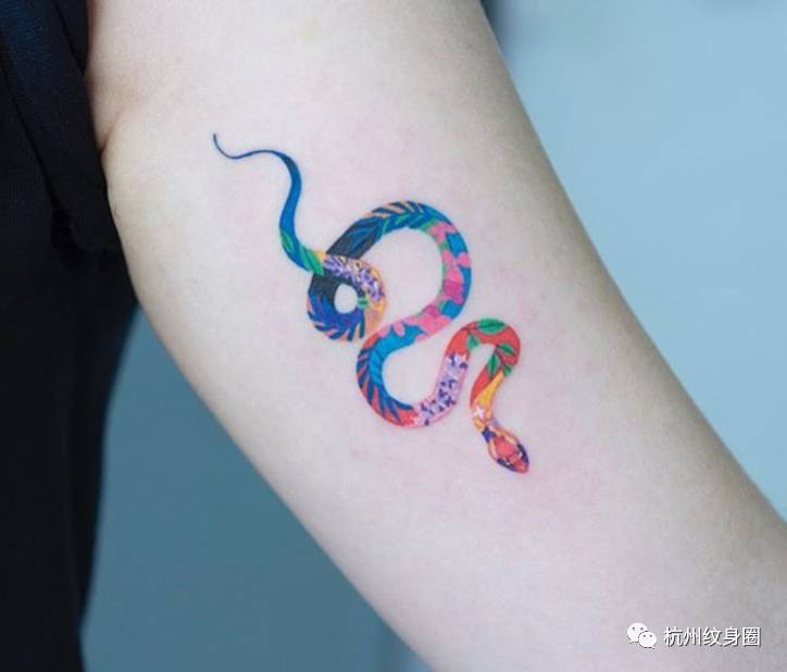 tattoo | 纹身素材:蛇