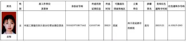 外逃15年,"百名红通人员"袁梅主动回国投案