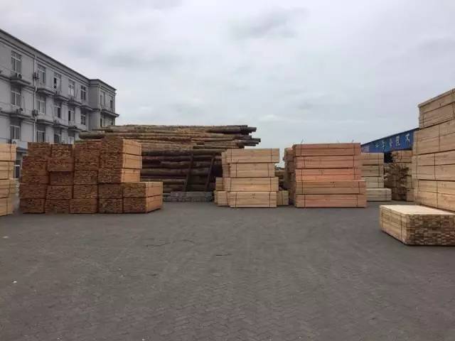 太仓港万方龙达木材产业园木材加工生产态势喜人