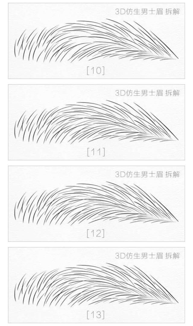 男士眉毛线条排列示意图_搜狐时尚_搜狐网