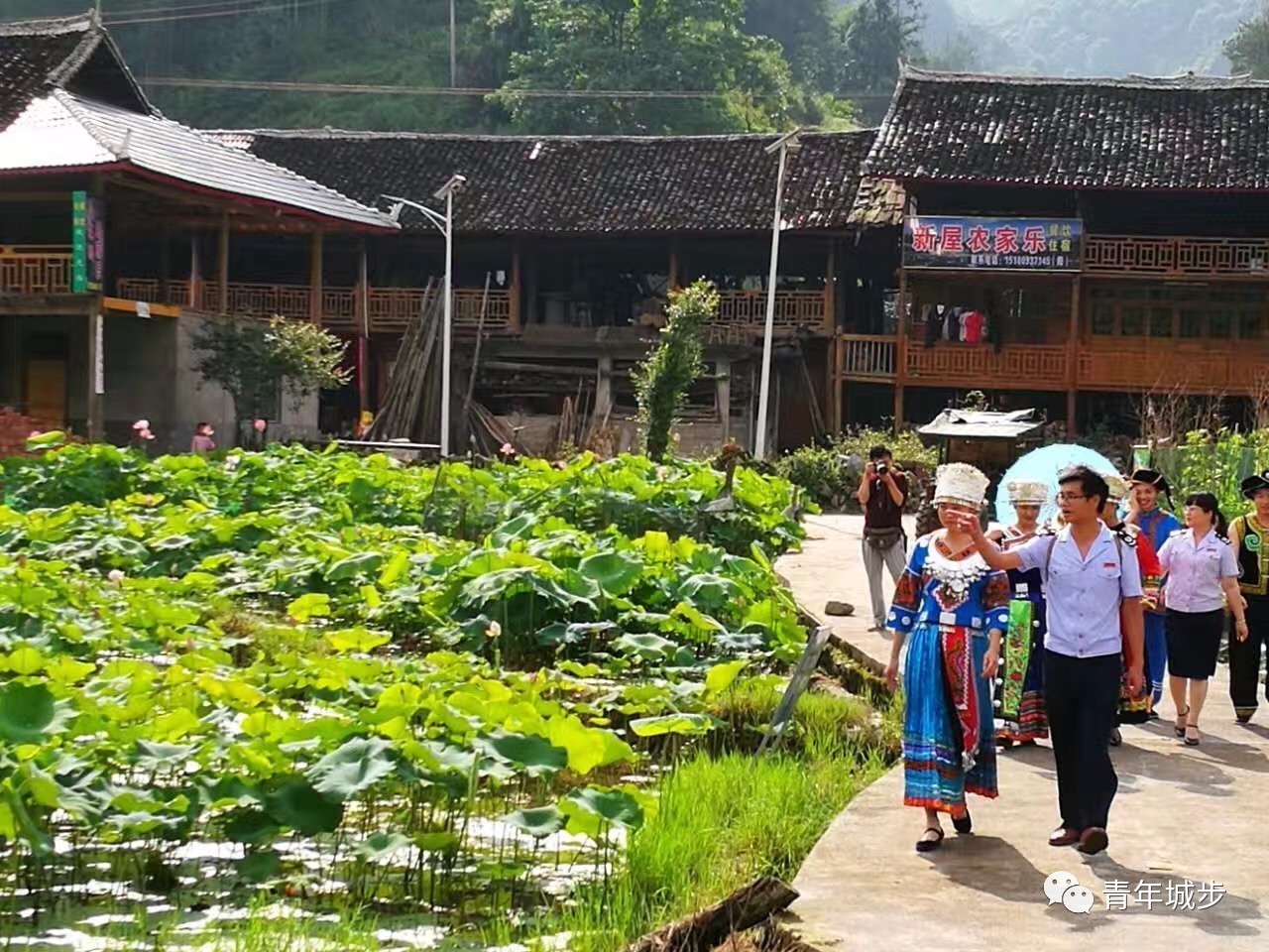 城步丹口镇平南寨村荷花基地有着无与伦比的美丽荷花依水而生地标