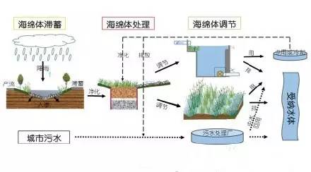 所以,海绵城市建设需因地制宜,具体分析每一个片区,每一个小块或是每