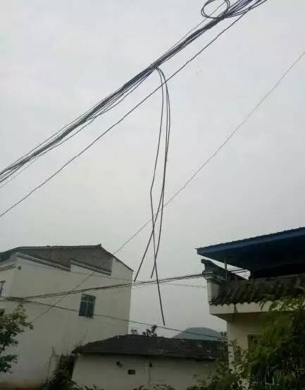 什邡农村多处光纤线缆被