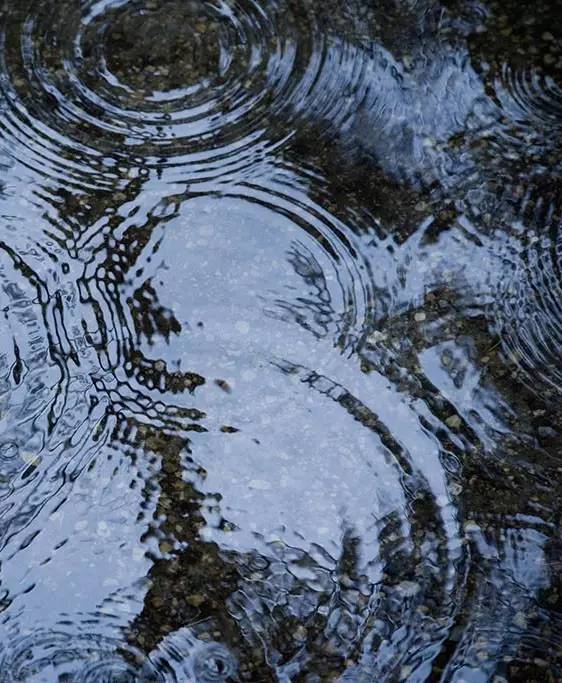 领袖悦读听雨61观雨61赏雨