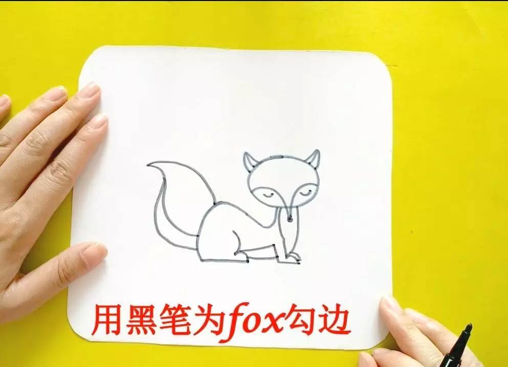 英语萌萌画fox狐狸