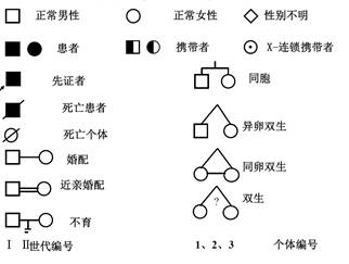 系谱示意图(家系)