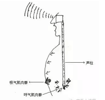 一组 一目了然的歌唱示意图,让歌唱爱好者,少走弯路!