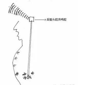 中低音声区连接的面罩共鸣腔 高音声柱连接着后脑共鸣腔 图十说明随着