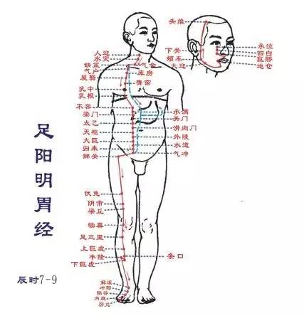 董洪涛:了解人体的经络(附十二时辰和人体经络对应表)