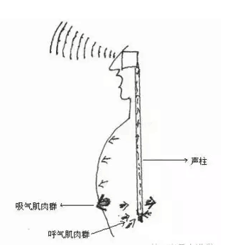 从面罩共鸣腔往前念出字或说歌唱吐字由此完成从腹部升上来的声柱