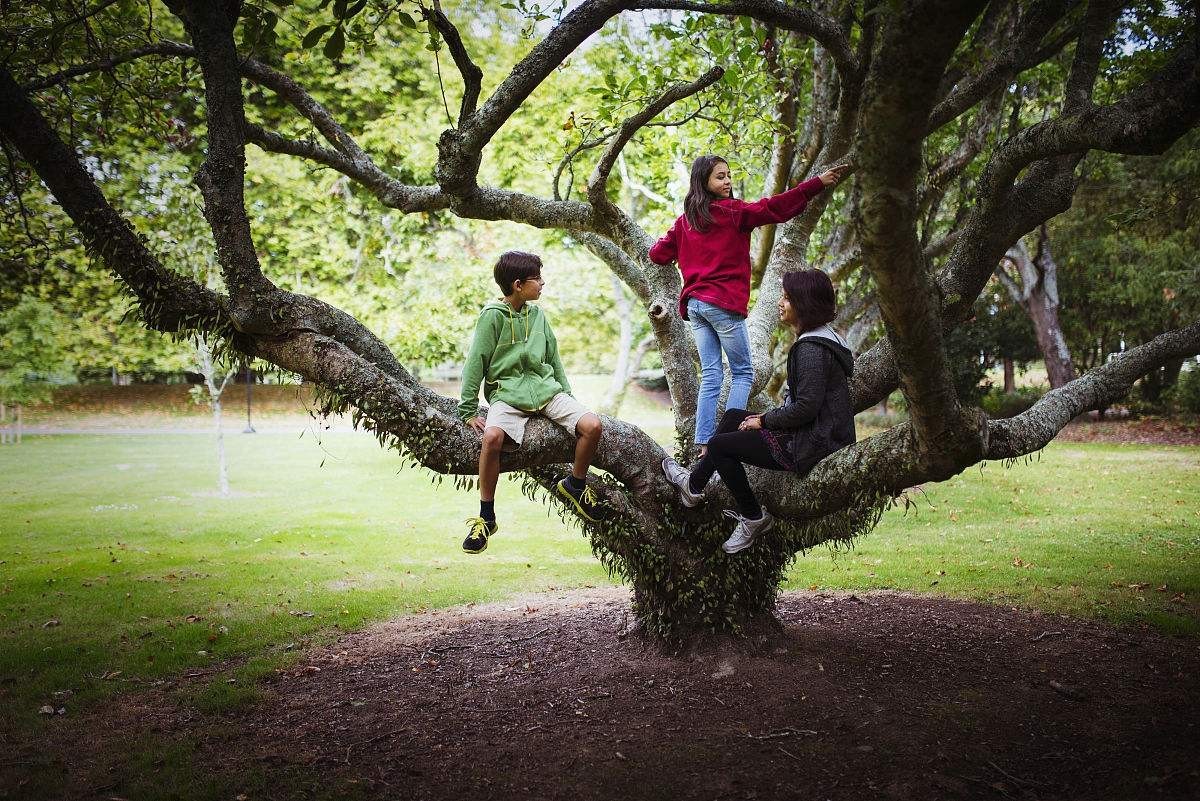 一个孩子爬树 自然中的童年 树上快乐的孩子 隐藏和查找 夏日情绪 儿童游戏 户外 库存照片 - 图片 包括有 人们, 愉快: 180270352