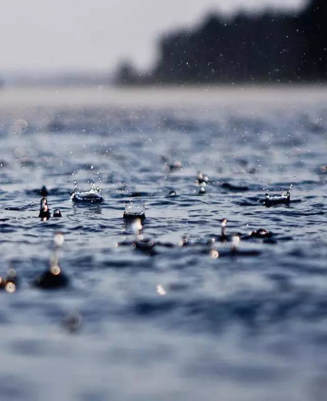 【悦读】听雨 观雨 赏雨