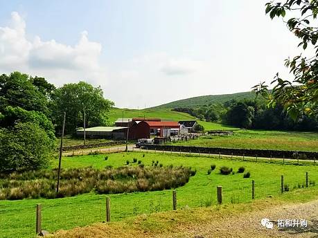 地址位于英国道格拉斯堡, 这个精致的小农场(养生住宅)位于田园般的