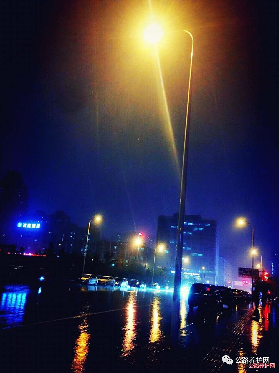 雨夜情