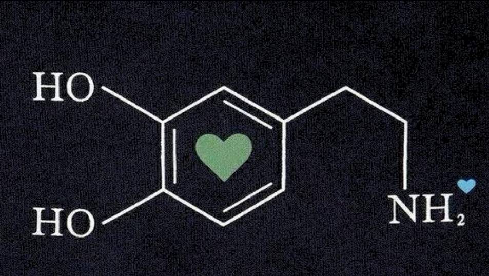 这是一个有爱的多巴胺分子结构