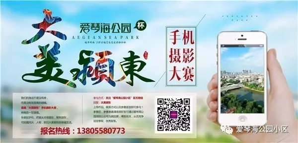 八达招聘_2017年度钦州市中小学教师公开招聘工作公告(2)