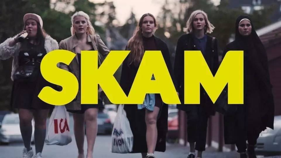 《skam》 羞耻 比起一些英,美校园剧的刻意卖腐卖肉,这部来自挪威的