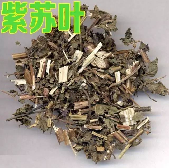 紫苏叶10g方义:本方草药均芳香除秽,艾叶温经,紫苏,丁香理气健胃,藿香