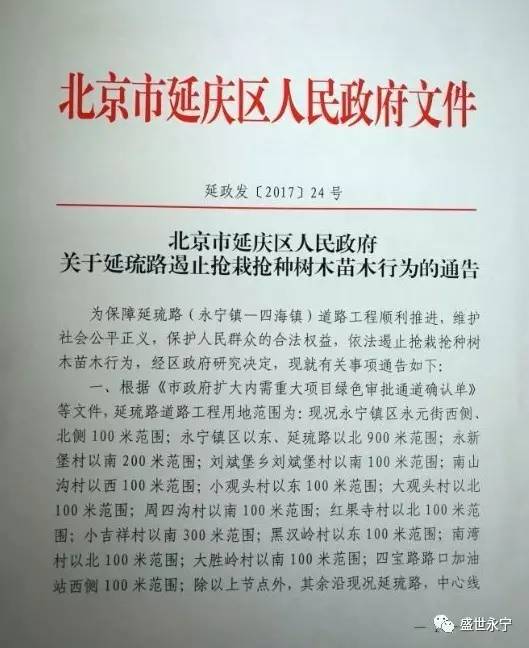 延庆区从6月20日起,严禁抢栽抢种,一经发现立即拔除,所有损失自负