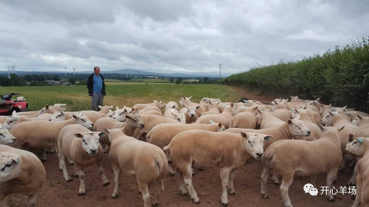 羊业赴英考察团最新考察成果