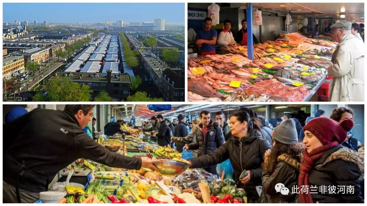 像当地人一样生活来荷兰旅游一定要逛的露天市场