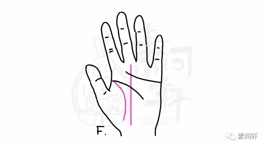g生命线的弧形大,越过手掌中央的直线,提示其人精力旺盛,一般不太会