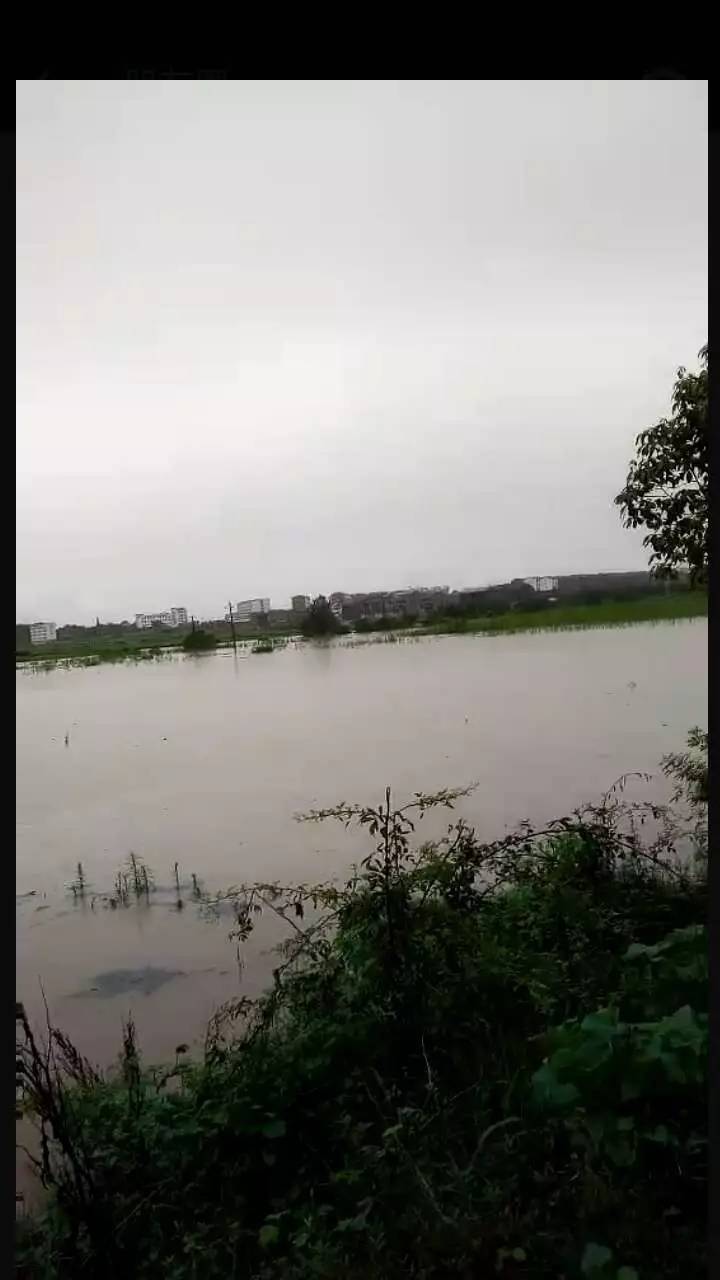 【实拍】大观楼,锦江河漫水,高安各地纷现"看海模式"