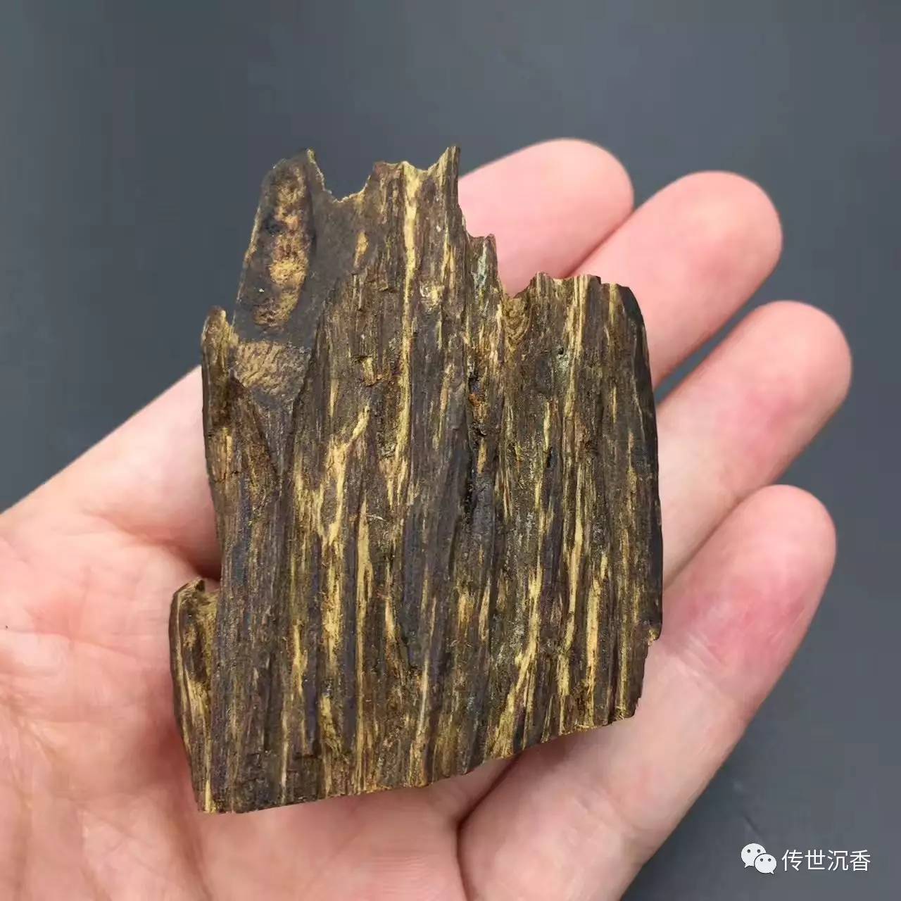 古代皇家的沉香从哪里来玩的过来嘛