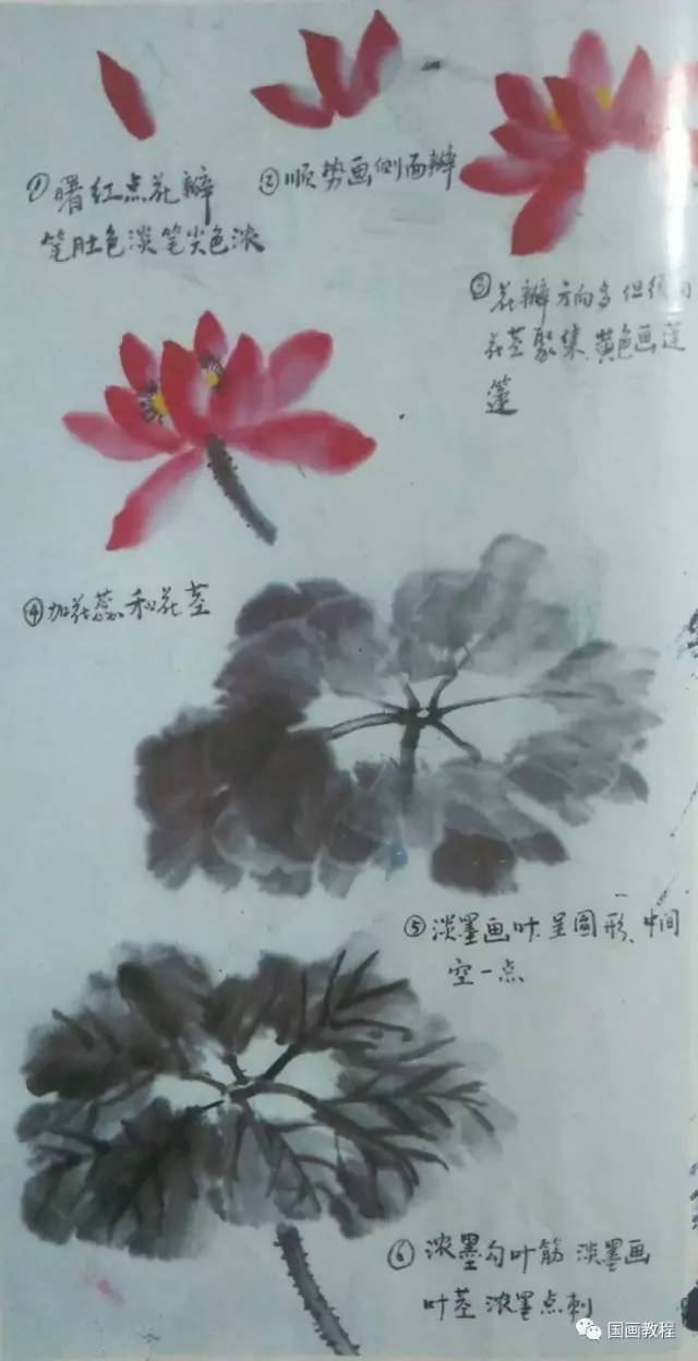 【国画教程】30天基础综合课,零基础学画画