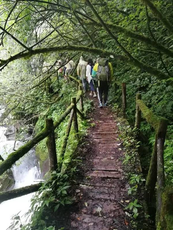 听风沐雨,徒步崇州麻柳沟活动回顾.