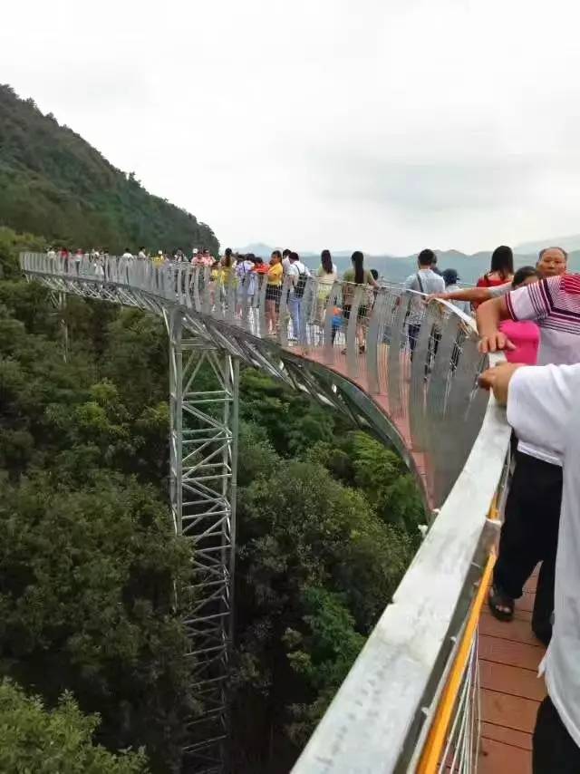 大余丫山玻璃桥花海一天游