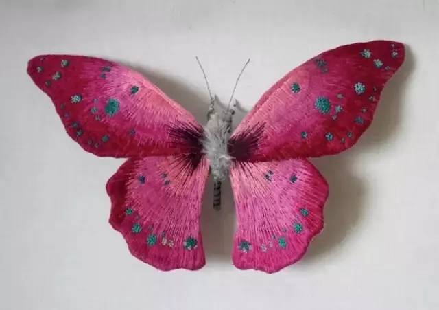 这些迷人的飞蛾,蝴蝶等昆虫标本都是来自 北卡罗莱纳州 的日本艺术家