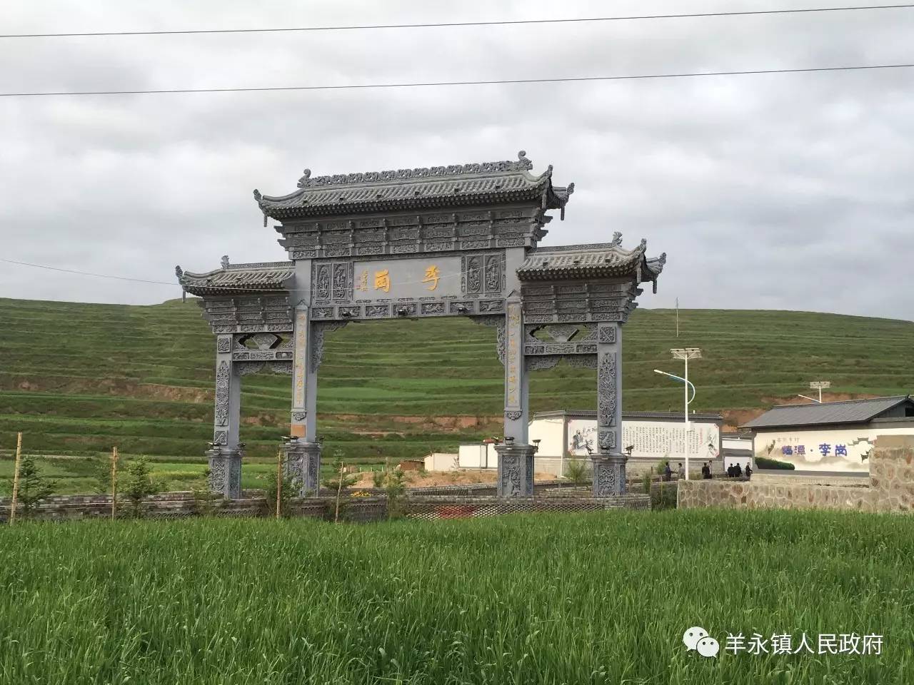 中央媒体团聚焦草原深处的江淮人家-临潭县羊永镇李岗村