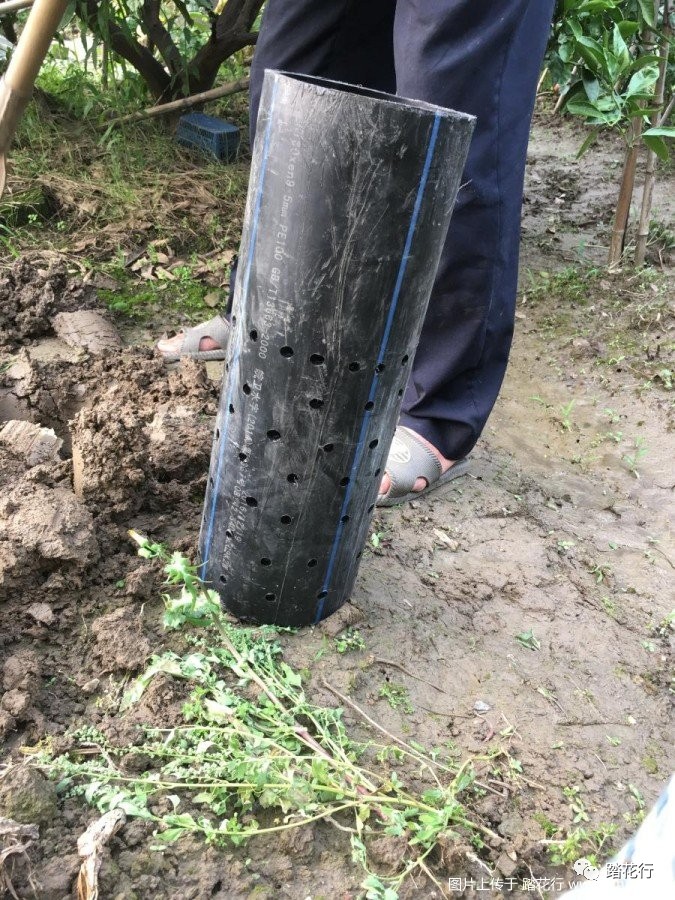 踏花学习后 自制蚯蚓塔