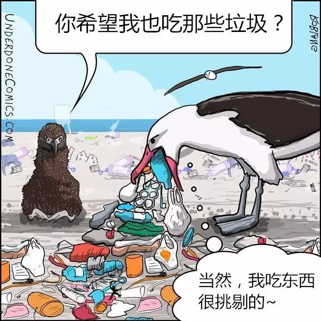 漫画:海洋污染不是闹着玩的事