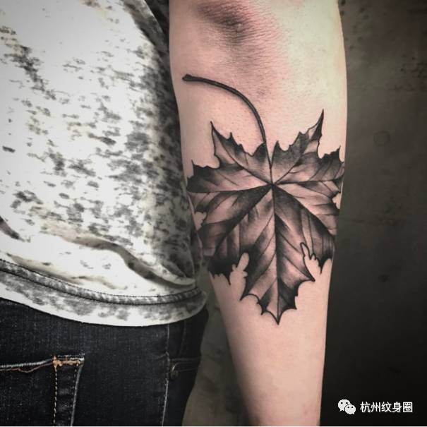 tattoo | 纹身素材:枫叶