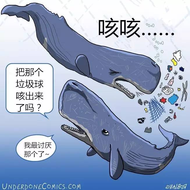 漫画海洋污染不是闹着玩的事