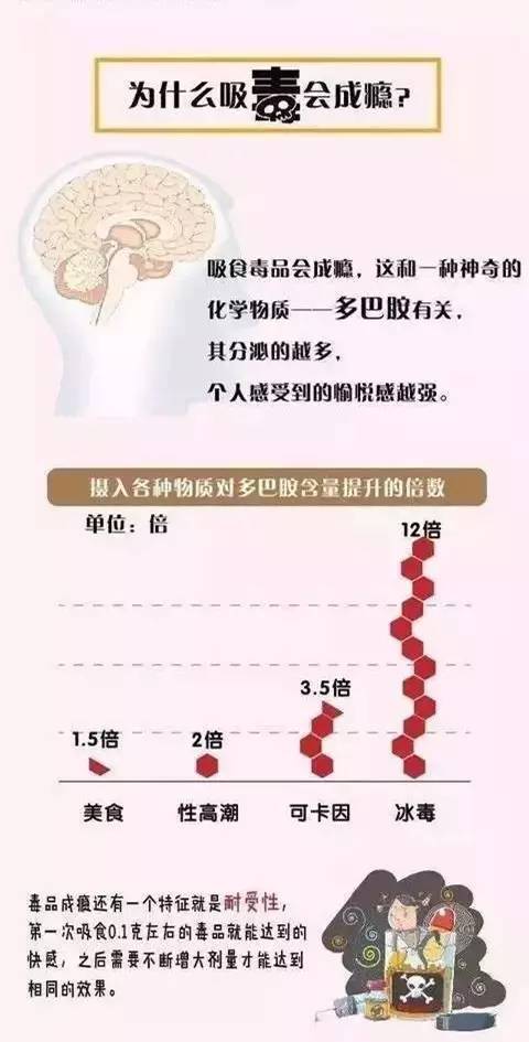 【国际禁毒日】珍爱生命 远离毒品