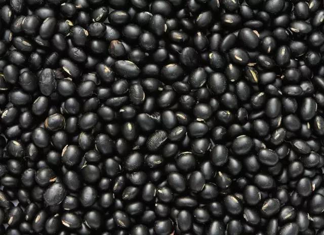 另外,黑豆表皮中含有丰富的花青素,因此常吃黑豆对肾脏好.
