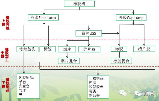 知识分享 : 天然橡胶产业链概述(图)