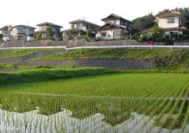 江家菜地,东篱菊园,荷塘月色五个符合当地   都市农园也是欧美和日本